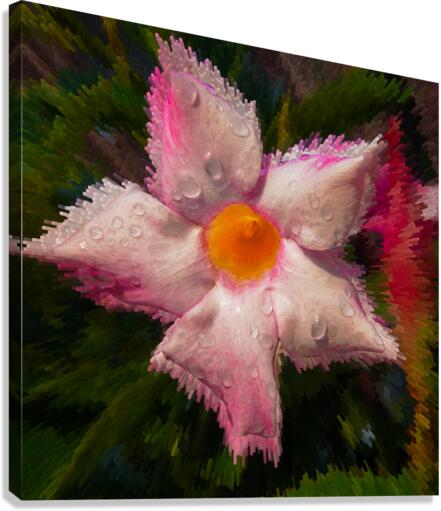  Mandevilla flower  Impression sur toile