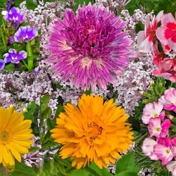 Spring Flower Mix