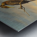 Cormorant at Dusk Metal print