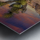Joshua tree landscape Impression metal