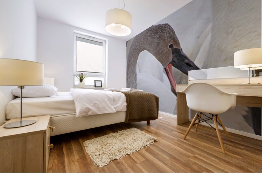 Pecking Trumpets Mural print