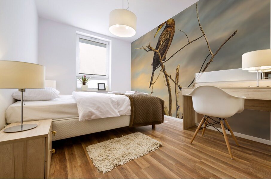 Cormorant at Dusk Mural print