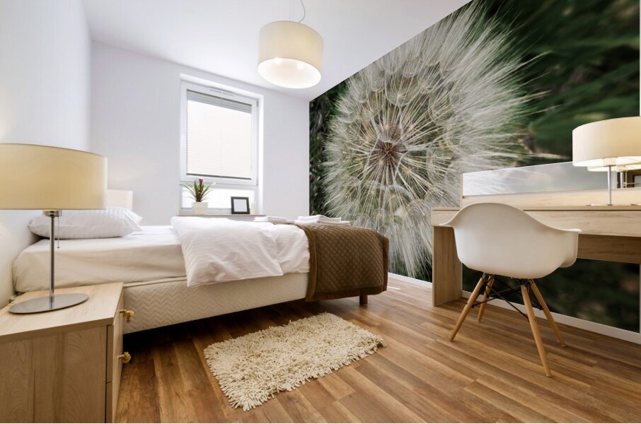 Dandelion Blow-ball Mural print