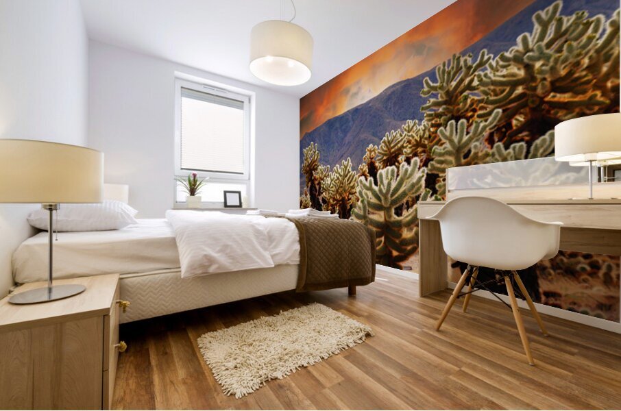 Prickly teddybear cholla Impression murale