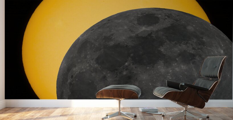 Partial Eclipse 2024 Wall Murals