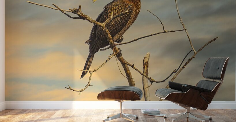 Cormorant at Dusk Wall Murals