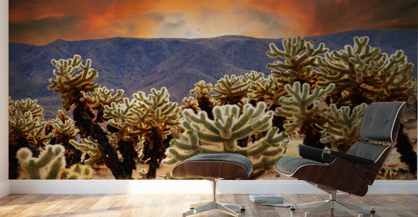 Prickly teddybear cholla Wall Murals