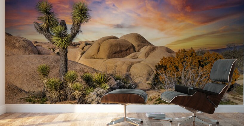 Joshua tree landscape Wall Murals