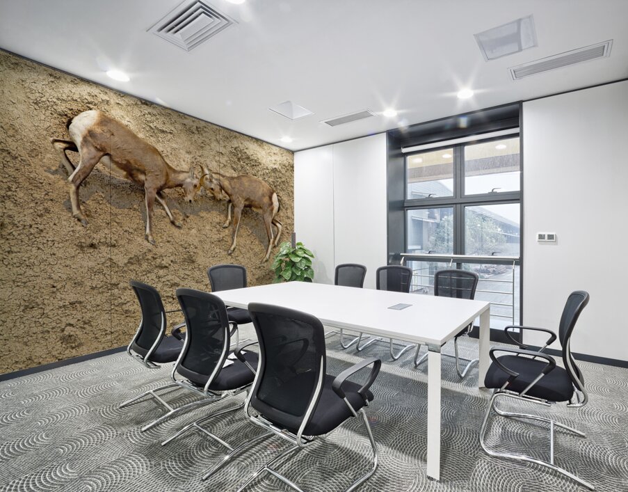 Jousting Big Horn Sheep Wall Printing