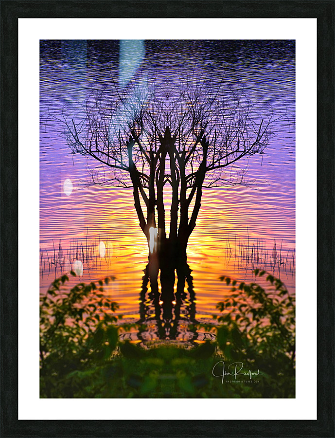 Lakeside sun on tree  Framed Print Print