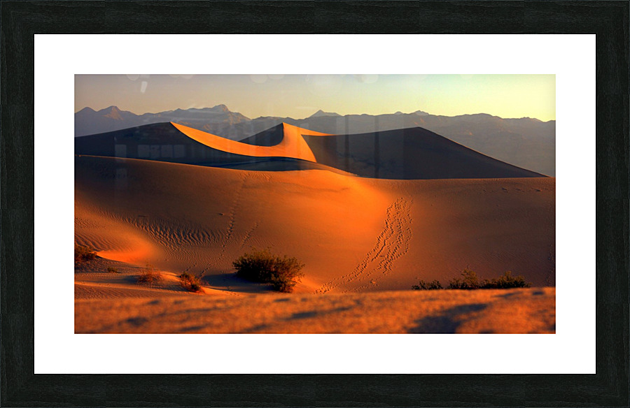 Mesquite Dunes at Dusk Picture Frame print