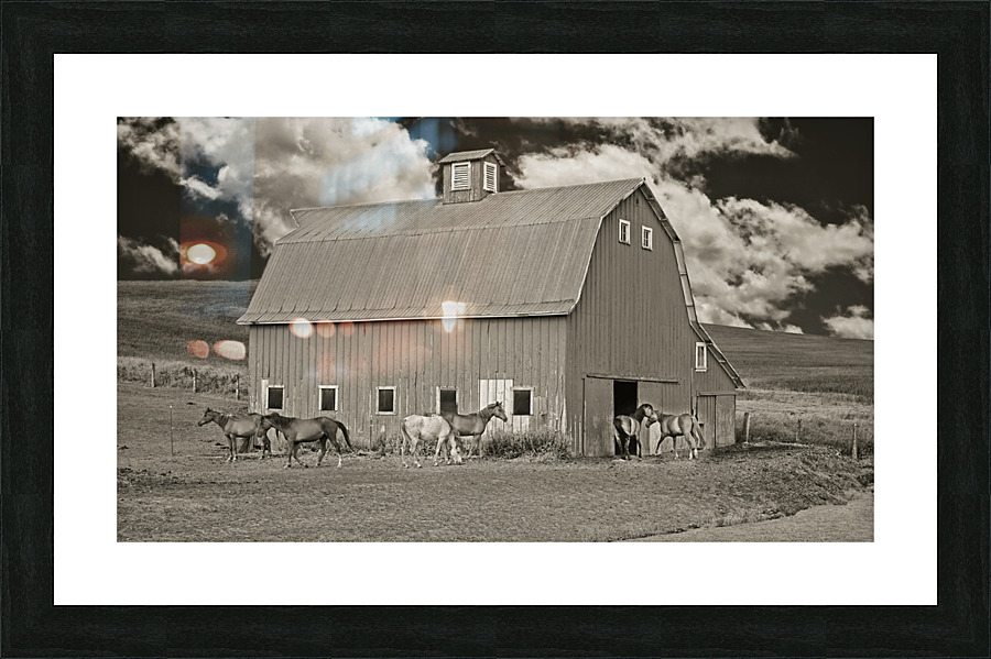 Washington horse barn  Framed Print Print