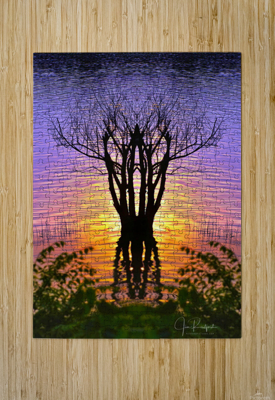 Lakeside sun on tree  HD Metal print with Floating Frame on Back