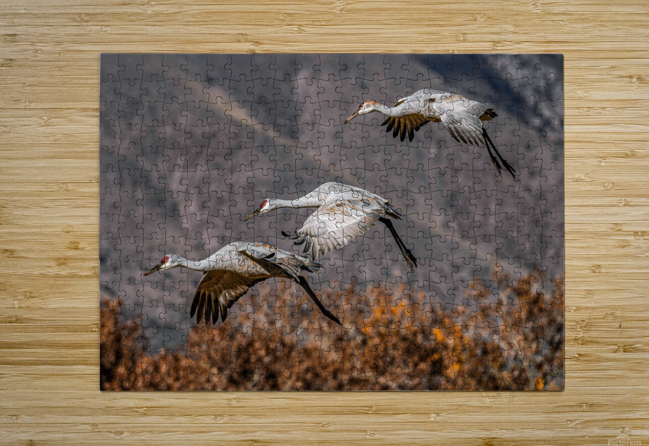 Family of Three  HD Metal print with Floating Frame on Back