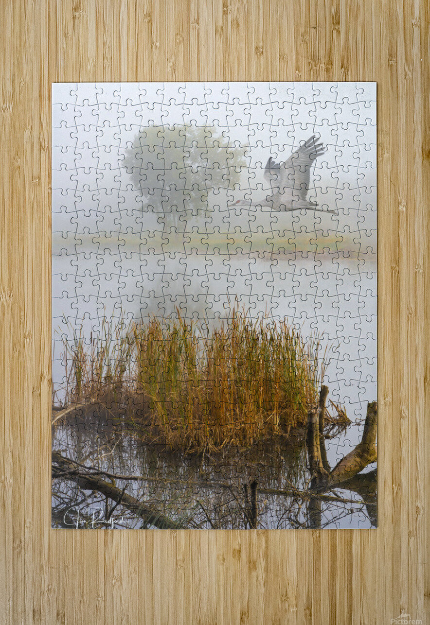 Crane on the Wing in Fog  HD Metal print with Floating Frame on Back