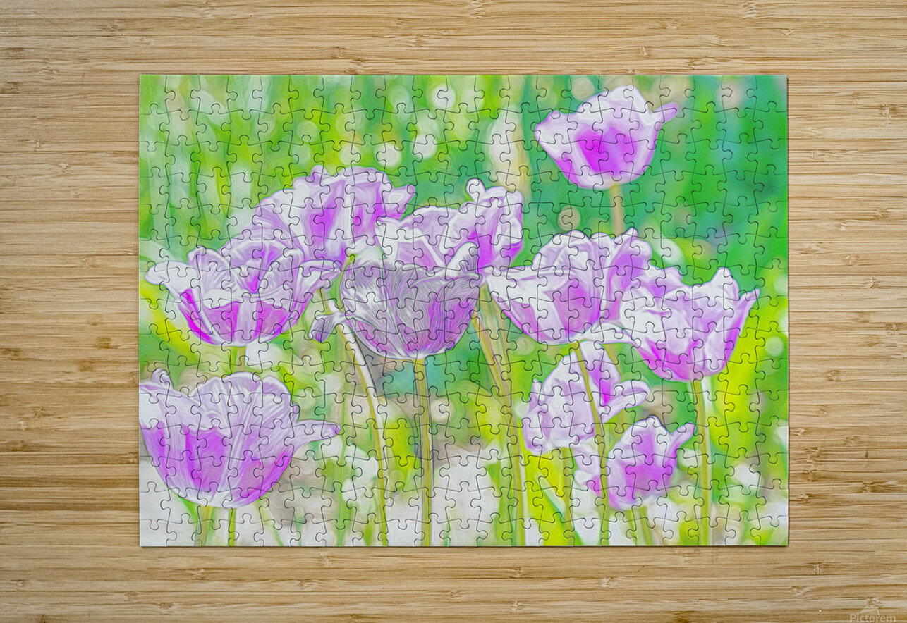 Purple tulip fantasy  HD Metal print with Floating Frame on Back