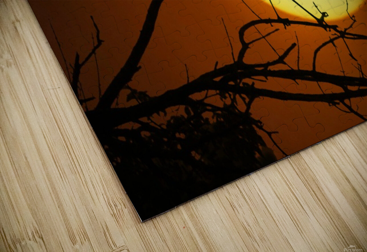 Egret Eclipse HD Sublimation Metal print