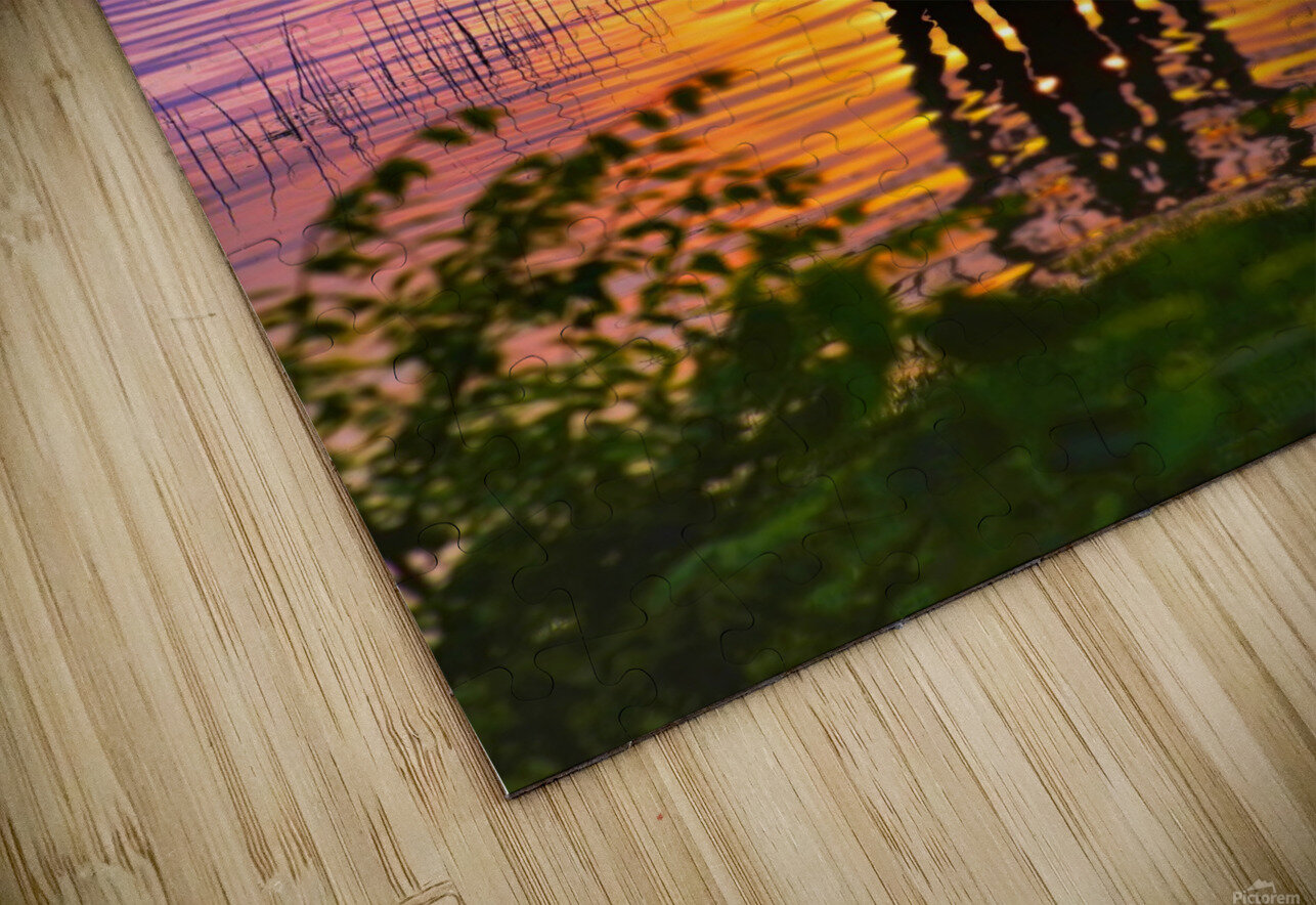 Lakeside sun on tree HD Sublimation Metal print