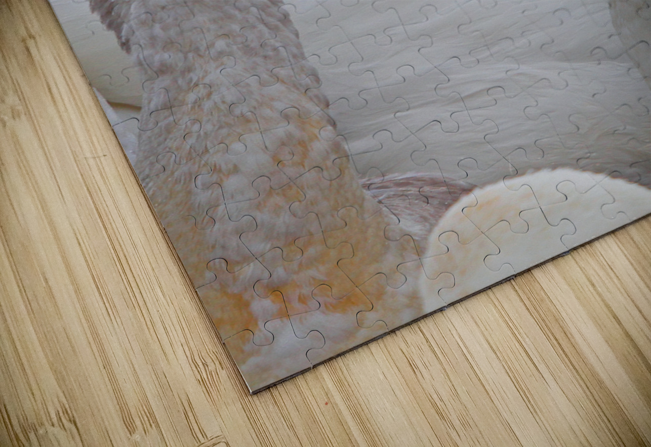 Pecking Trumpets Jim Radford Puzzle