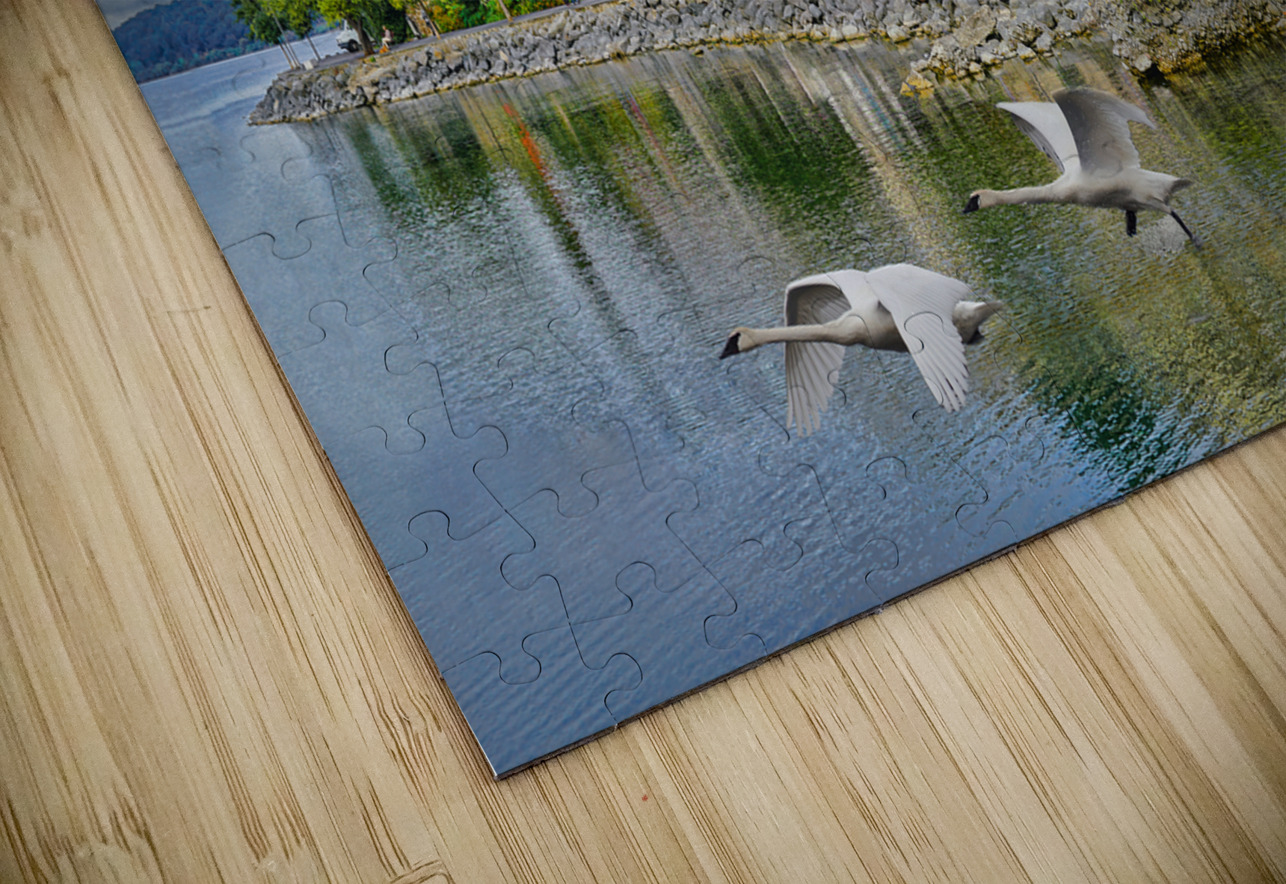 Anguillara Sobazia Jim Radford Puzzle