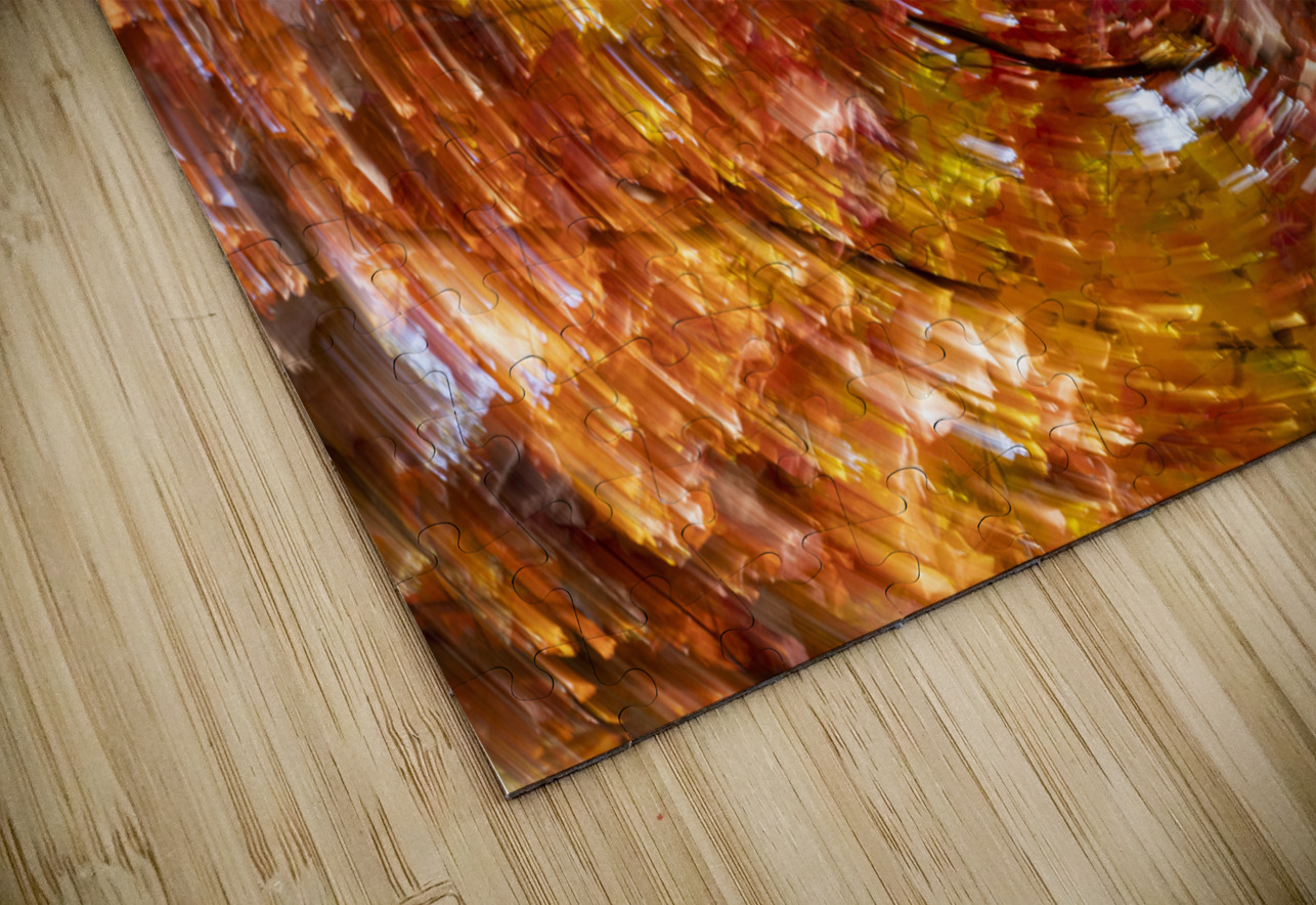 Blowing Fall Colors HD Sublimation Metal print