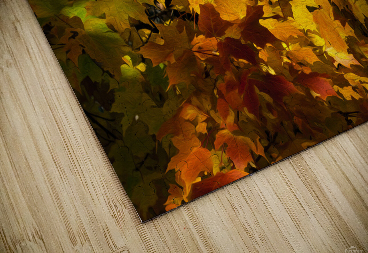 Fall Colors HD Sublimation Metal print