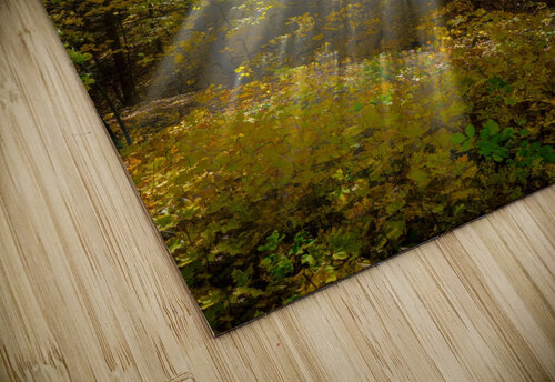 Forest Beams  jigsaw puzzle