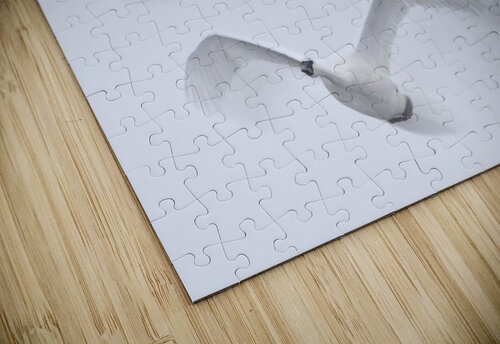 Wings in the Wind jigsaw puzzle