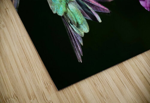 Hovering Hummer jigsaw puzzle