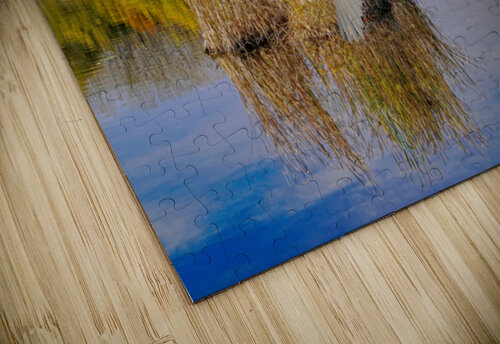 Landing Swan jigsaw puzzle