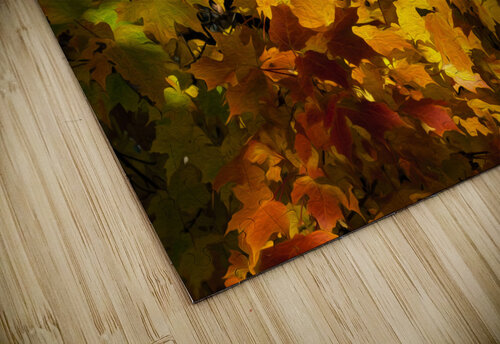 Fall Colors jigsaw puzzle