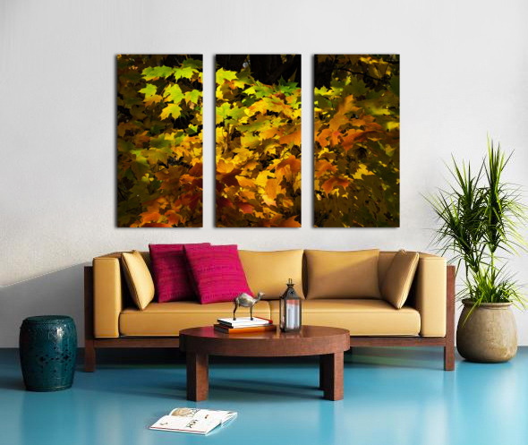 Fall Colors Split Canvas print