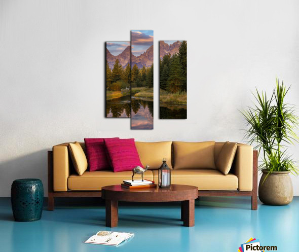 Moose in the Morning Canvas print