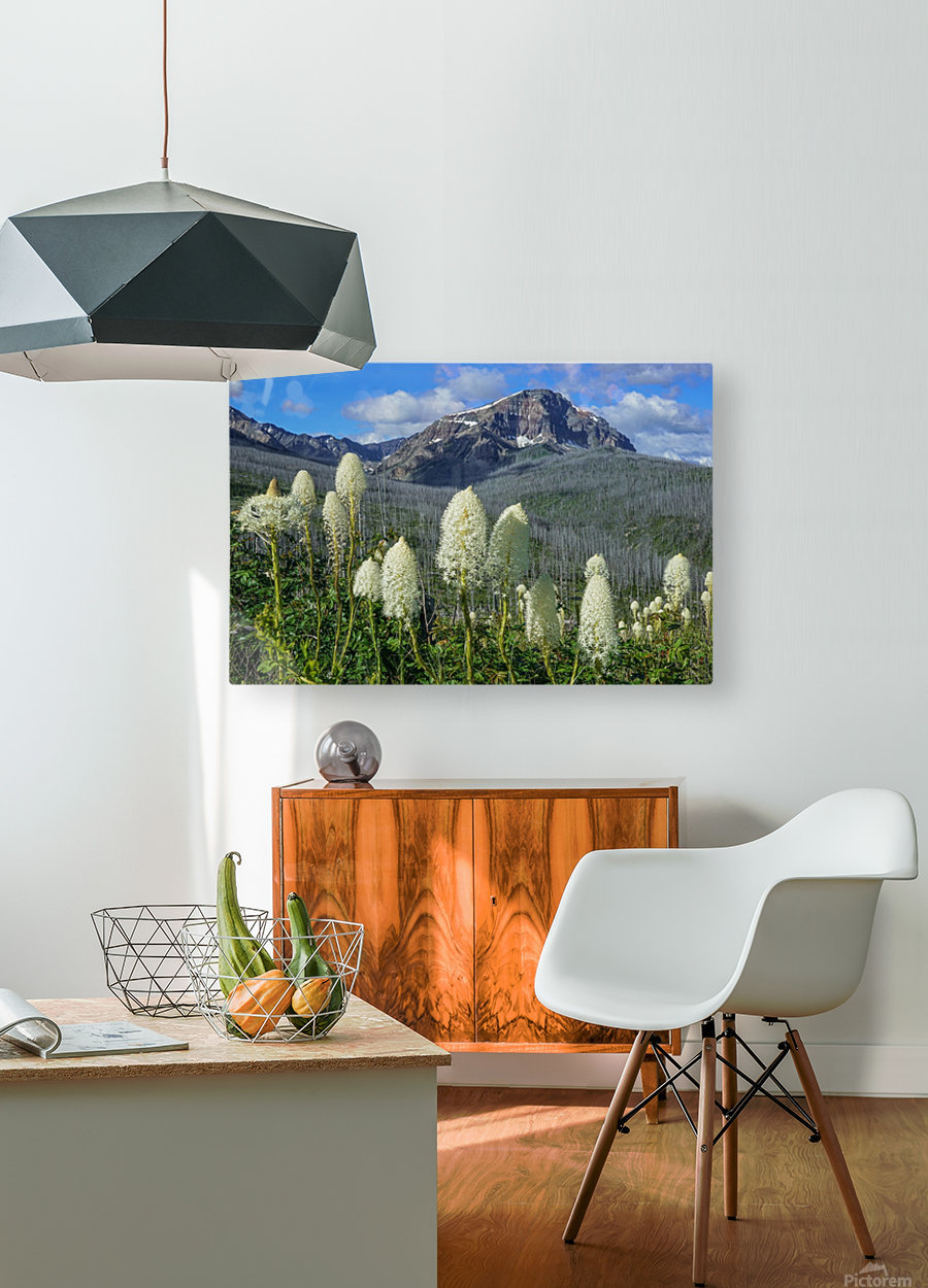 Bear Grass Fields  HD Metal print with Floating Frame on Back