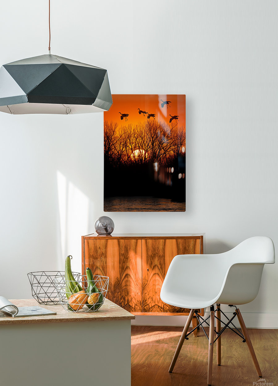 Dawn patrol over the Platte  HD Metal print with Floating Frame on Back