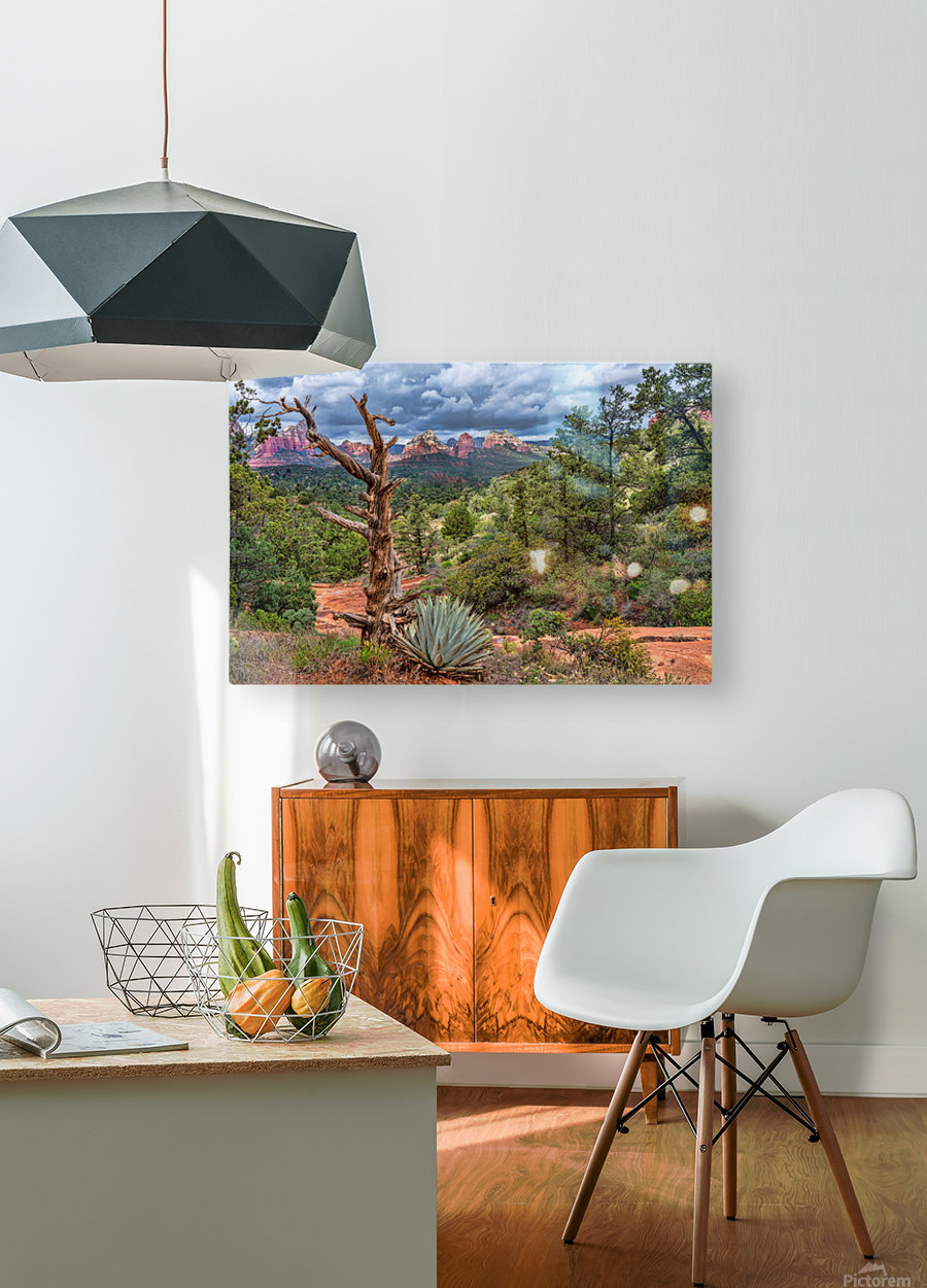 Sedona Overlook  HD Metal print with Floating Frame on Back