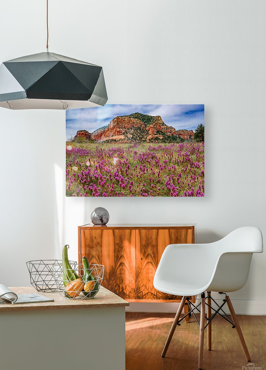 Clover Fields in Sedona  HD Metal print with Floating Frame on Back