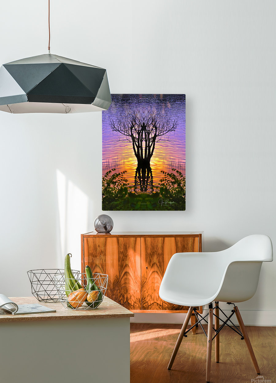 Lakeside sun on tree  HD Metal print with Floating Frame on Back