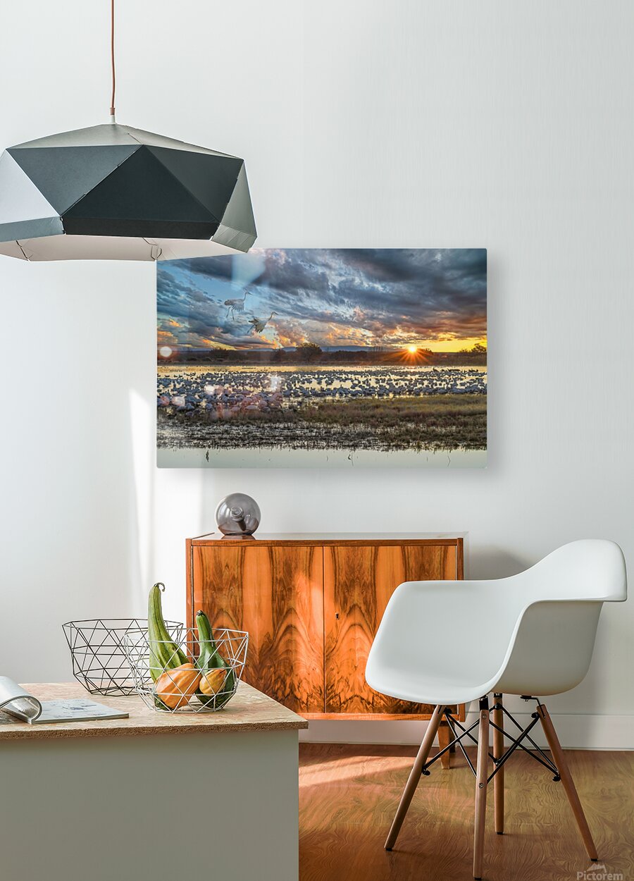 Sunrise at the Bosque  HD Metal print with Floating Frame on Back