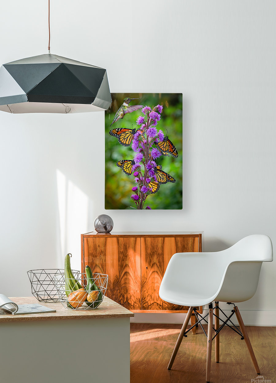 Sweet Nectar  HD Metal print with Floating Frame on Back