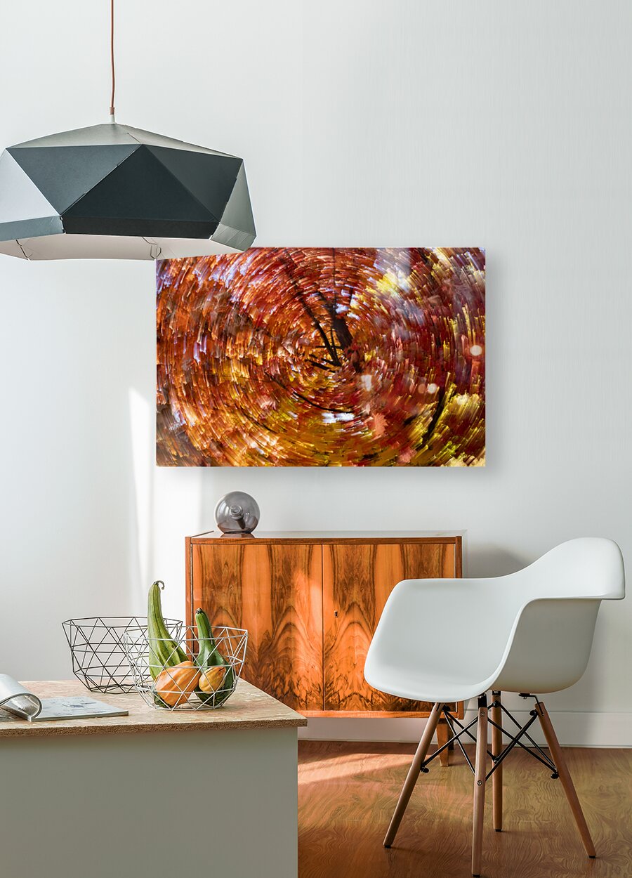 Blowing Fall Colors  HD Metal print with Floating Frame on Back