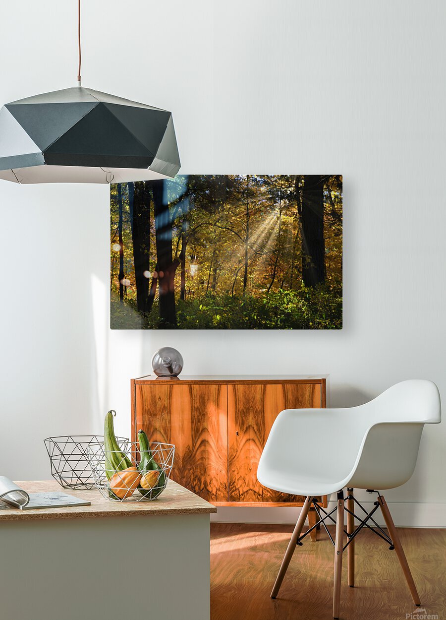 Falling leaves and beams   HD Metal print with Floating Frame on Back