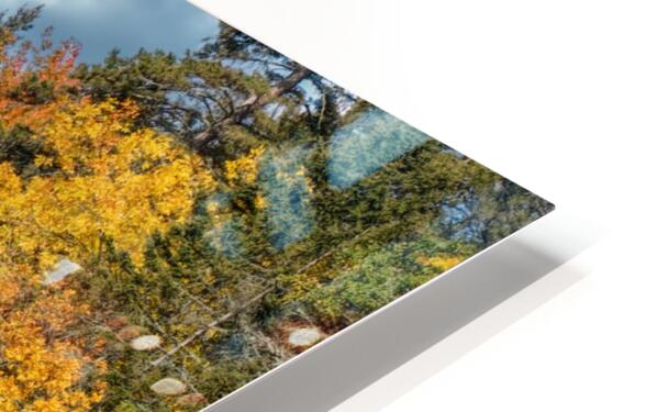 River Fall Colors HD Sublimation Metal print