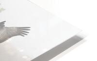 Crane on the Wing in Fog HD Metal print