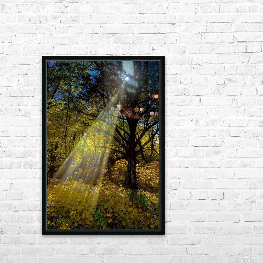 Forest Beams  HD Sublimation Metal print with Decorating Float Frame (BOX)
