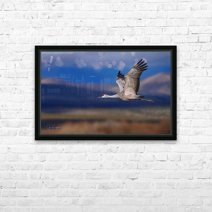 Crane over the Bosque HD Sublimation Metal print with Decorating Float Frame (BOX)