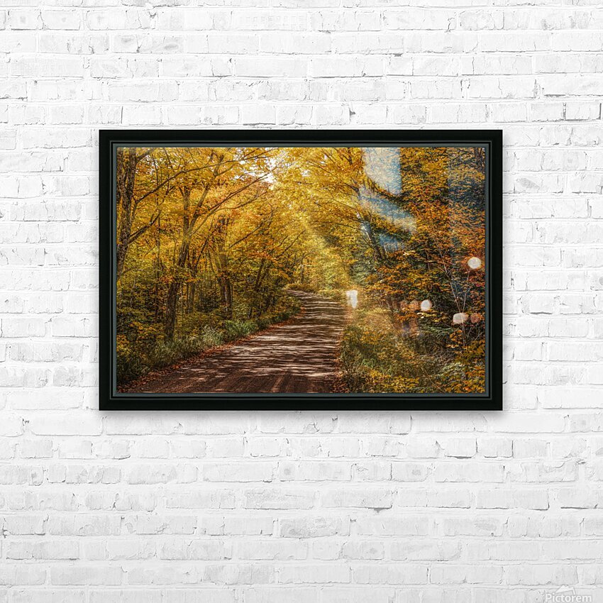 Sun Beams in Fall Color HD Sublimation Metal print with Decorating Float Frame (BOX)