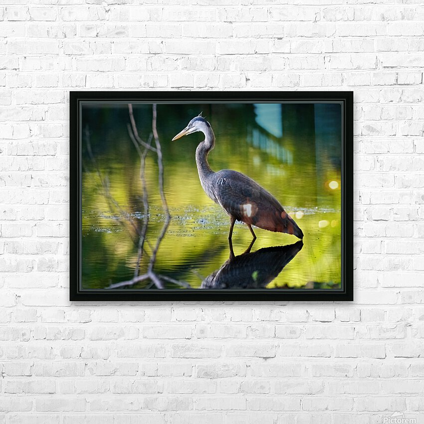 Heron on the Hunt HD Sublimation Metal print with Decorating Float Frame (BOX)