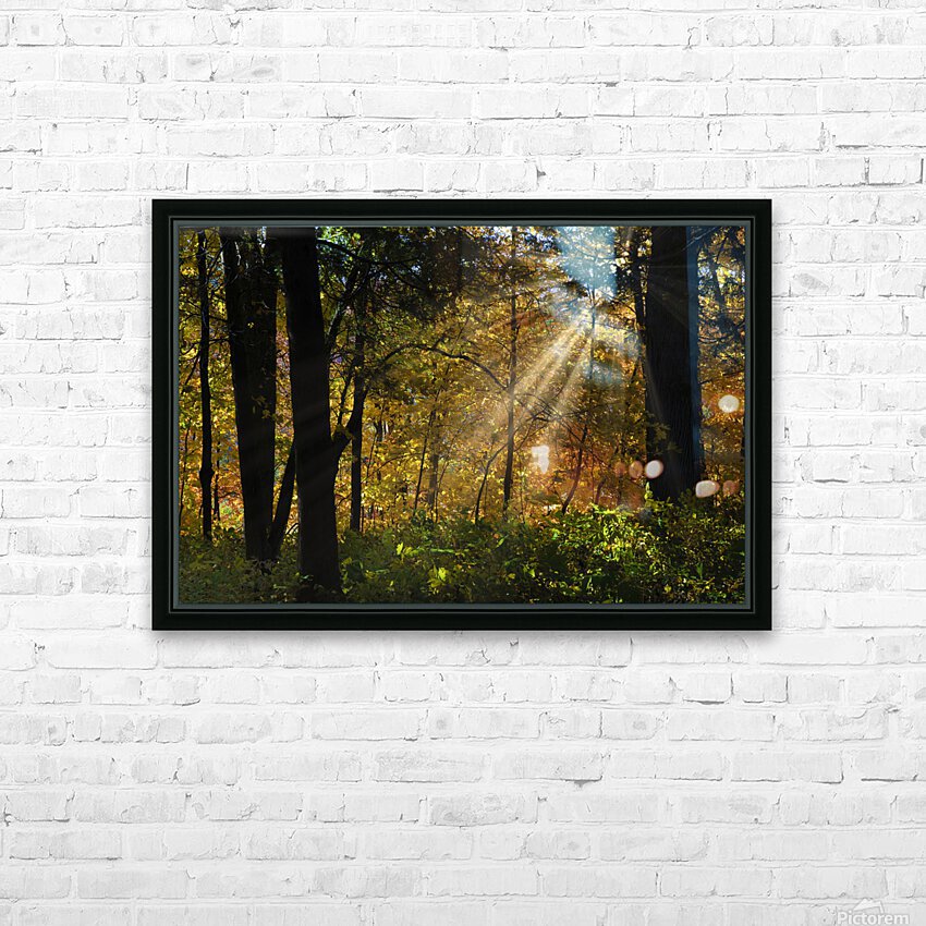 Falling leaves and beams  HD Sublimation Metal print with Decorating Float Frame (BOX)