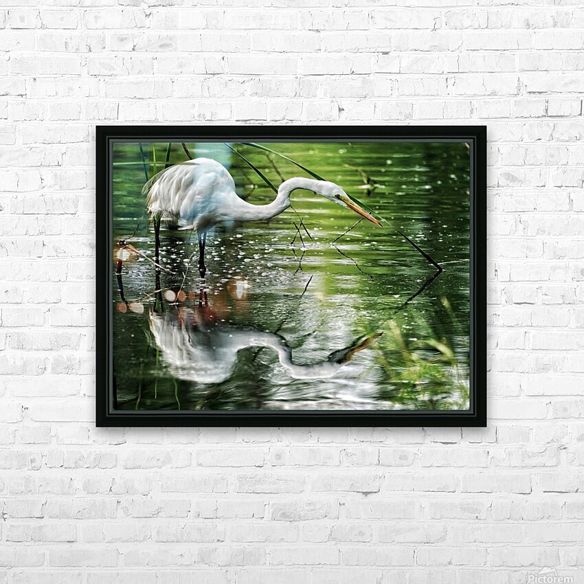 Feeding Egret HD Sublimation Metal print with Decorating Float Frame (BOX)